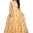 Women Net with Silk Anarkali Fit